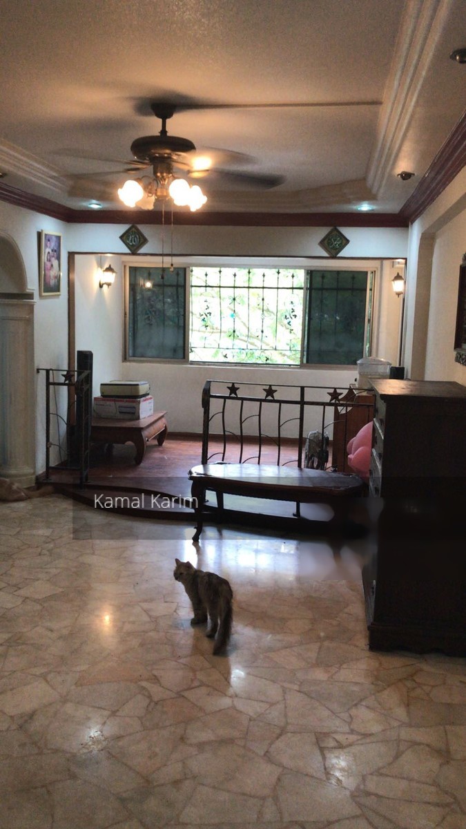 Woodlands Avenue 9 thumbnail photo